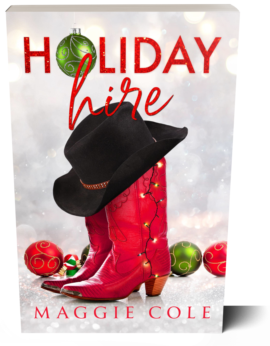 Holiday Hire (Discreet Paperback)