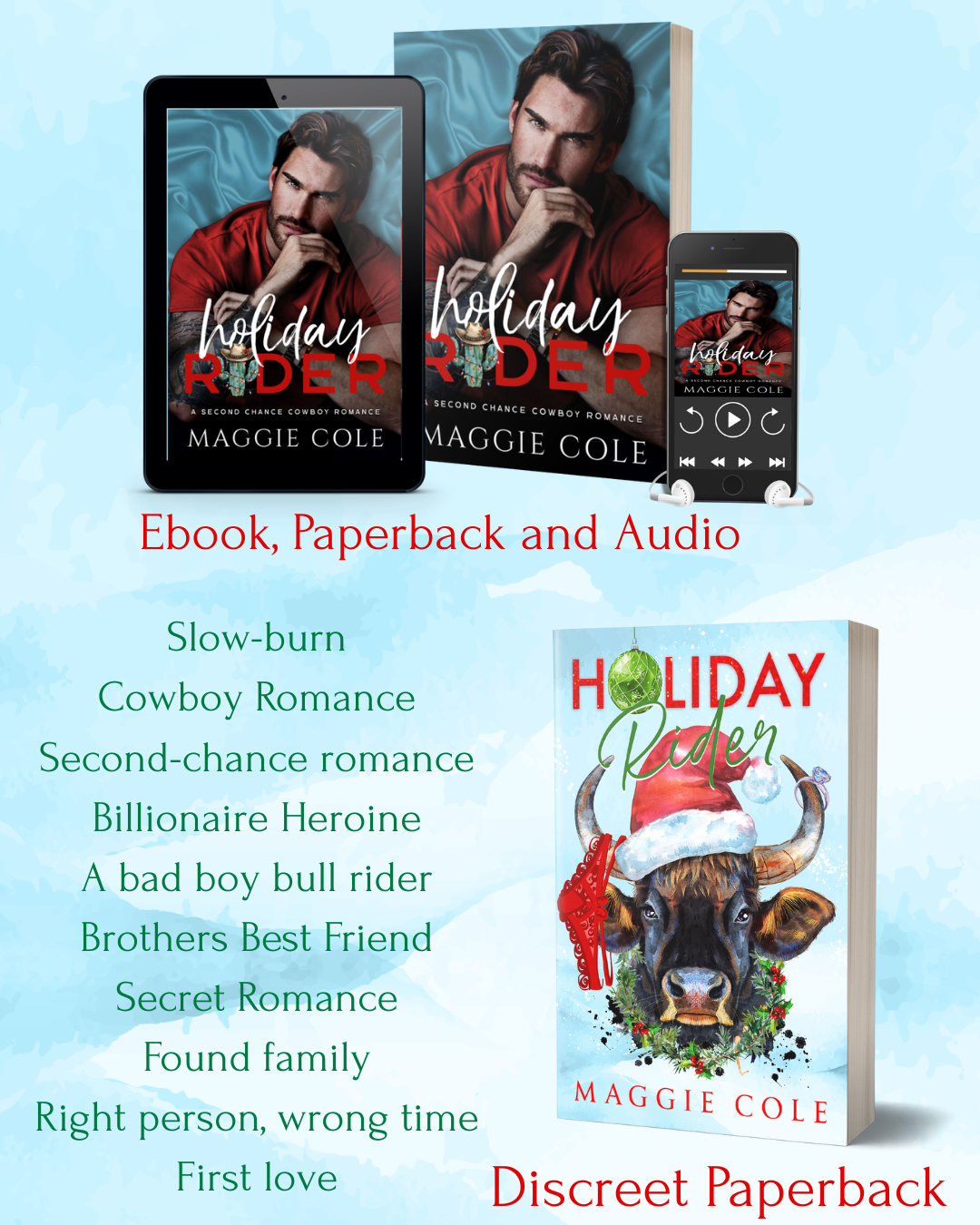 Holiday Rider (Discreet Paperback)