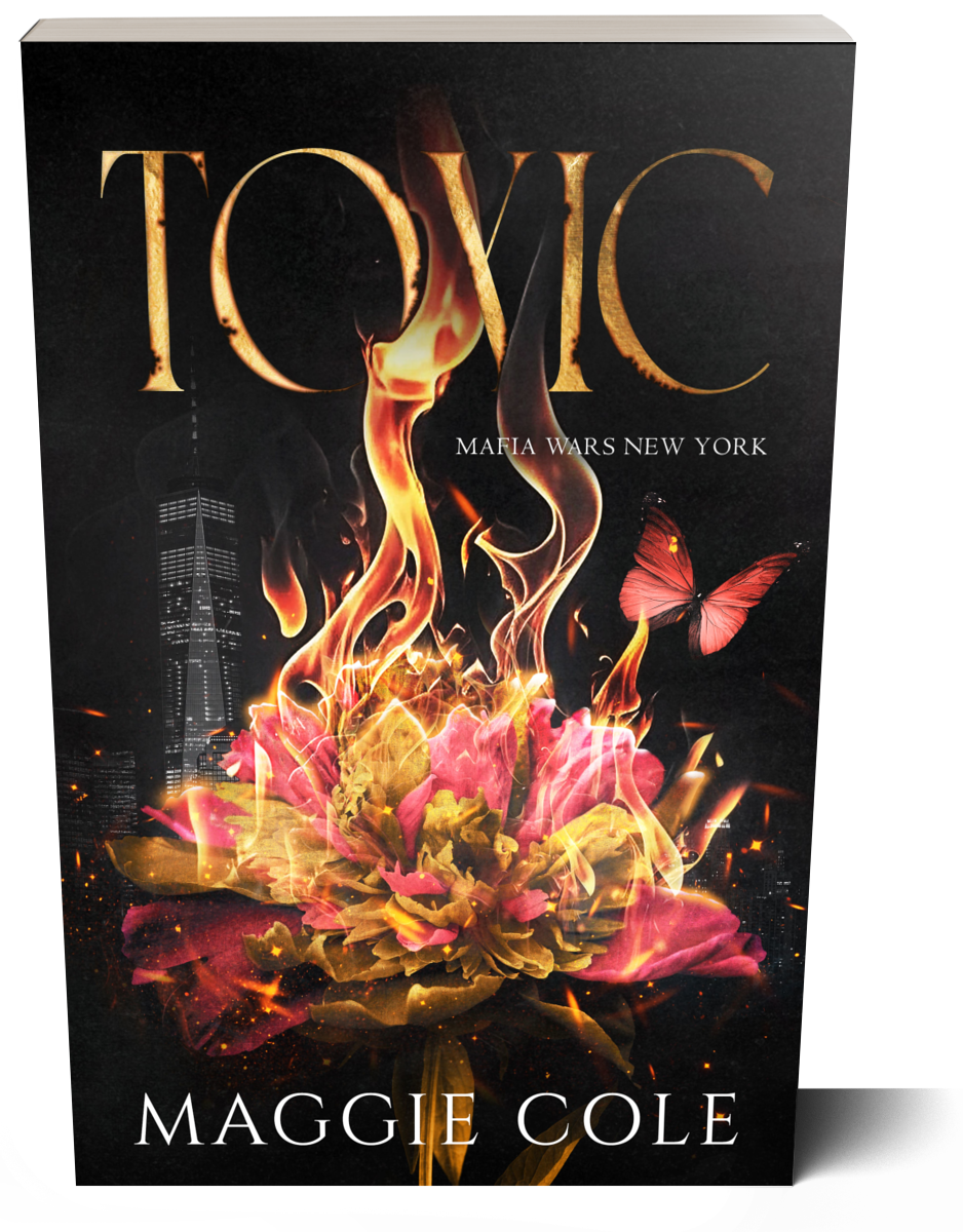 Toxic-Discreet Paperback