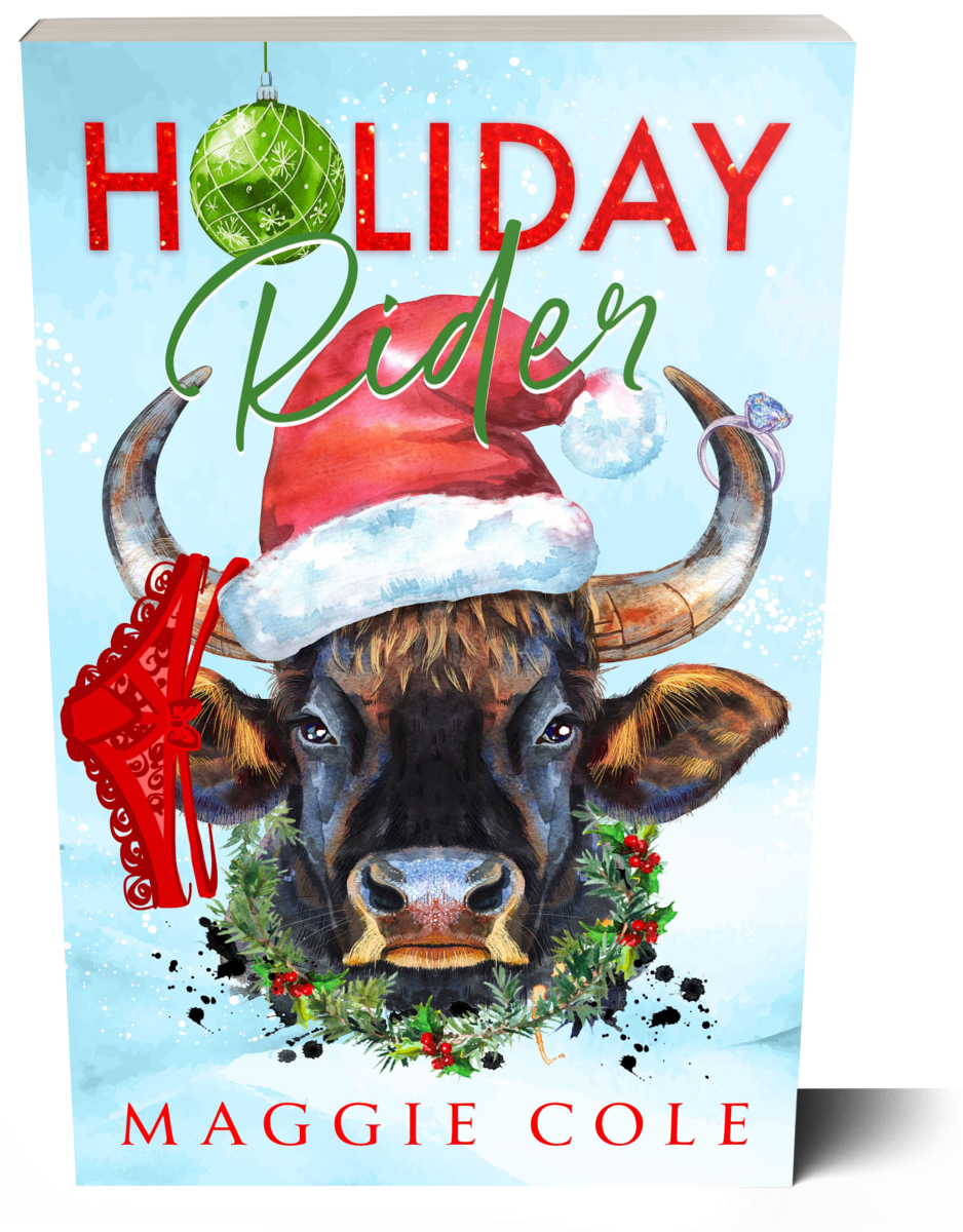 Holiday Rider (Discreet Paperback)