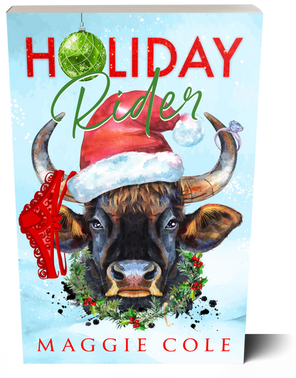 Holiday Rider (Discreet Paperback)