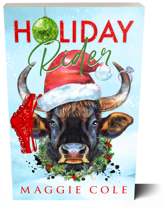 Holiday Rider (Discreet Paperback)