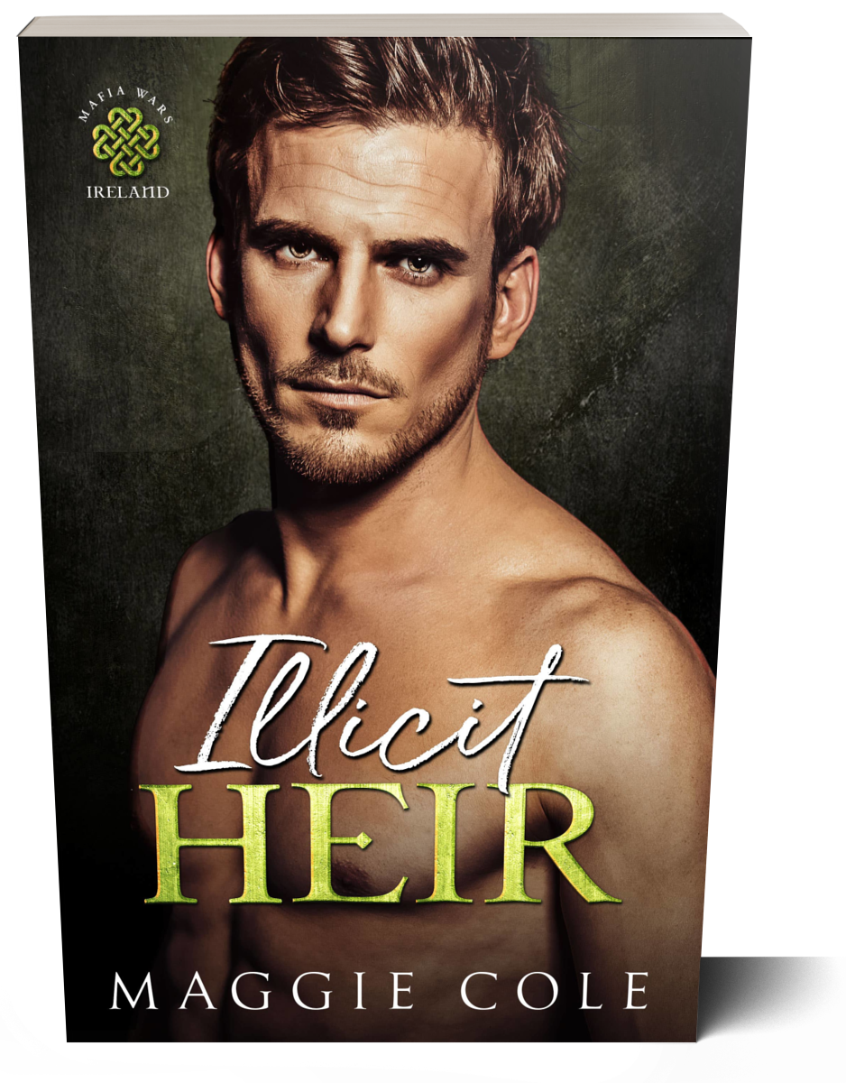 Illicit Heir (Paperback)