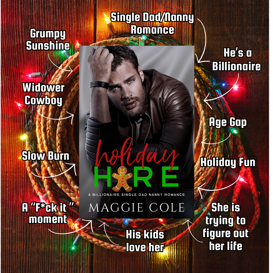 Holiday Hire (Paperback)